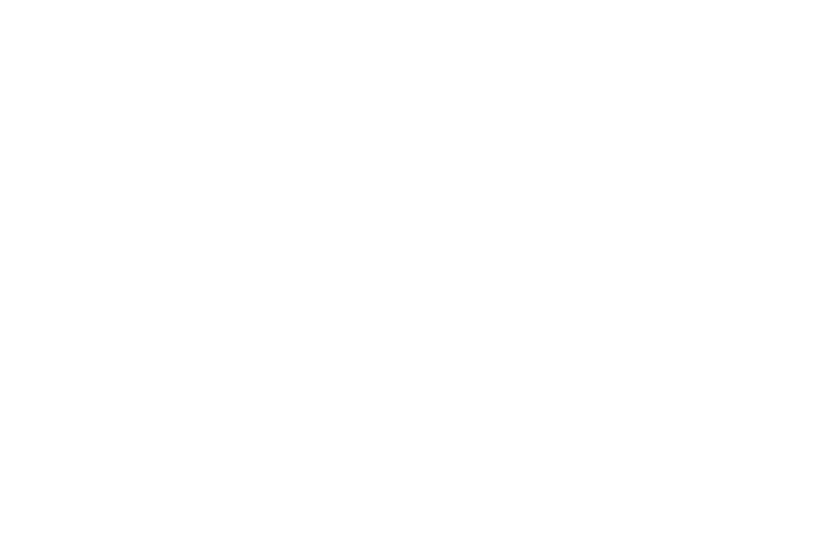 BFO Photographie et creation Logo