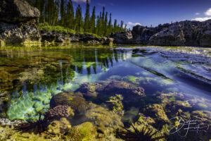 Photo encadrée de la piscine naturelle de la baie d’Oro à l’Île des Pins, en Nouvelle-Calédonie
