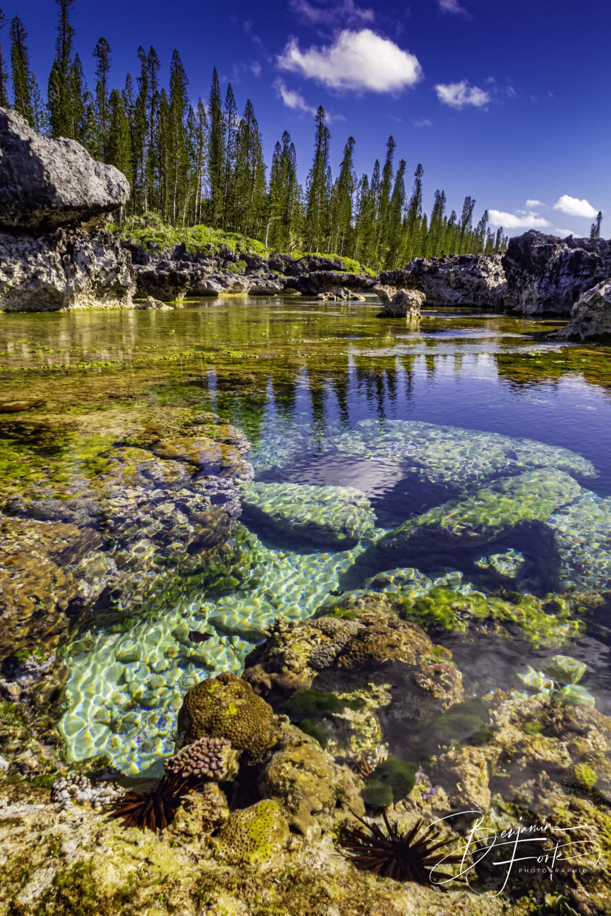 Paysage exceptionnel de l’Île des Pins en Nouvelle-Calédonie