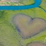 Le Cœur de Voh, clairière en forme de cœur dans la mangrove, vu du ciel en Nouvelle-Calédonie, par BFO Photographie