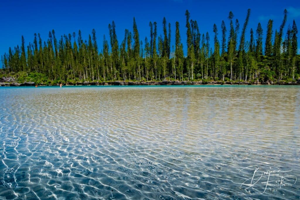 Reflets de lumière sur l'eau transparente de la piscine naturelle de l'Île des Pins, pins colonnaires à l'horizon, par BFO Photographie