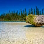 Rocher couvert de végétation dans l'eau claire de la piscine naturelle de l'Île des Pins, pins colonnaires en fond, par BFO Photographie