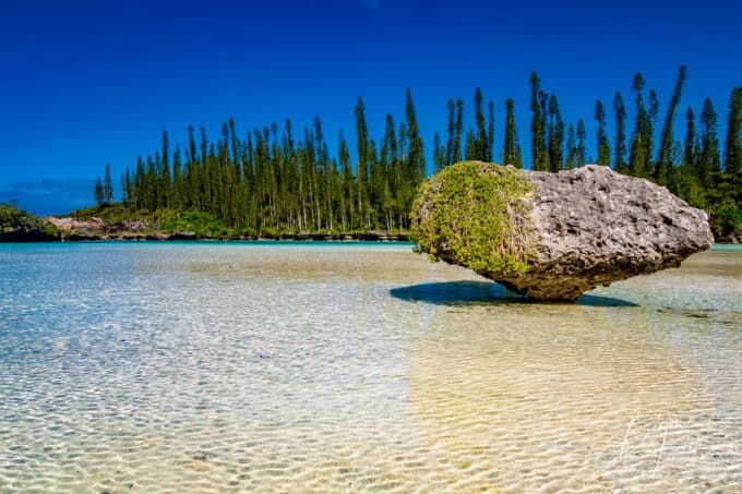 Rocher couvert de végétation dans l'eau claire de la piscine naturelle de l'Île des Pins, pins colonnaires en fond, par BFO Photographie