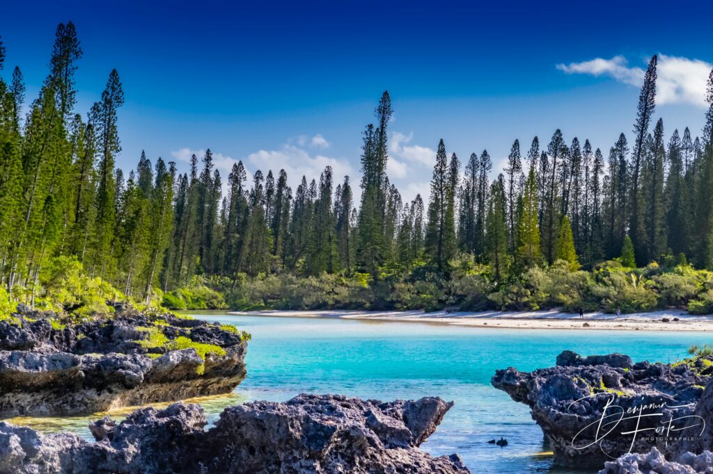 Rochers coralliens et pins colonnaires au bord de la piscine naturelle de l'Île des Pins, par BFO Photographie
