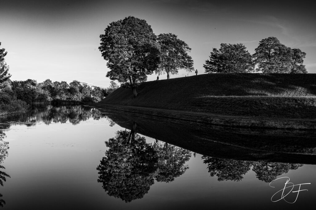 Paysage en noir et blanc d'arbres se reflétant parfaitement dans une eau calme, par BFO Photographie